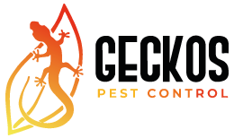 geckos-control-de-plagas-soleff